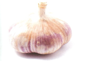 garlic spread plant based diet recipe